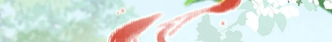 39 你来自哪里 第73页