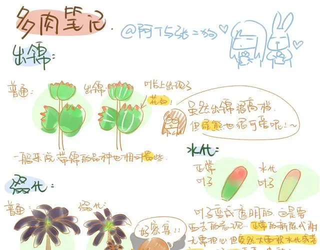 第6话 多肉笔记 第3页
