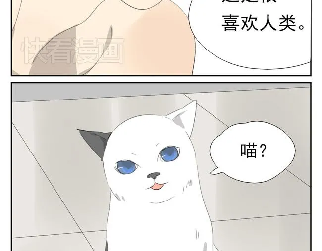 第6话 人类太暴力了！ 第55页