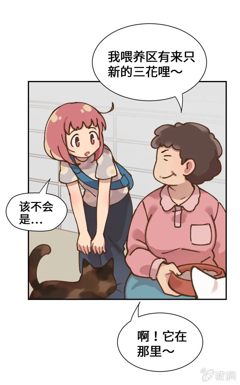 第39杯『走失协寻』 第26页