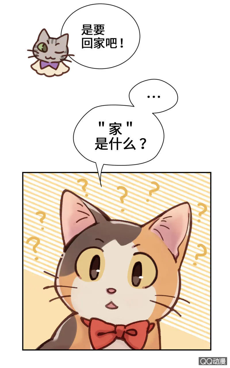第10杯『猫法庭！』 第12页