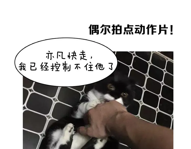 第5期 《贵族戏精课》 第45页