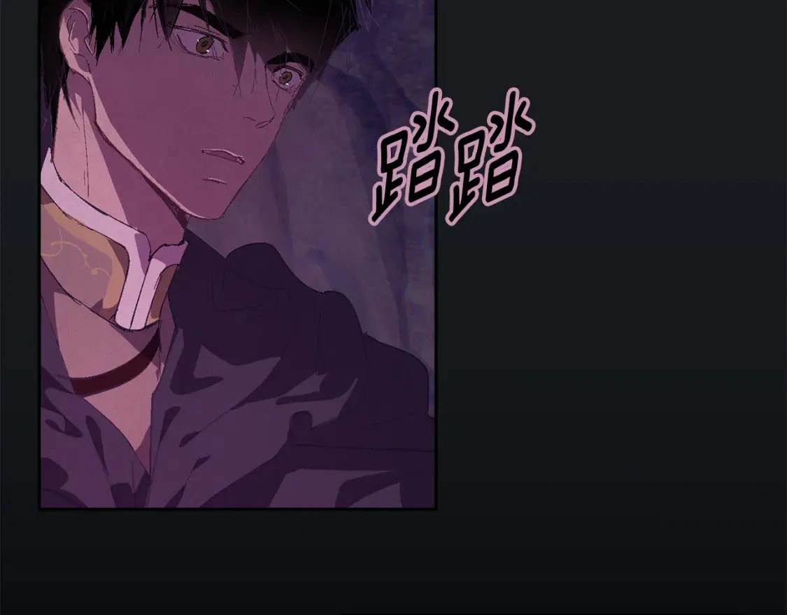 第81话 休战 第66页