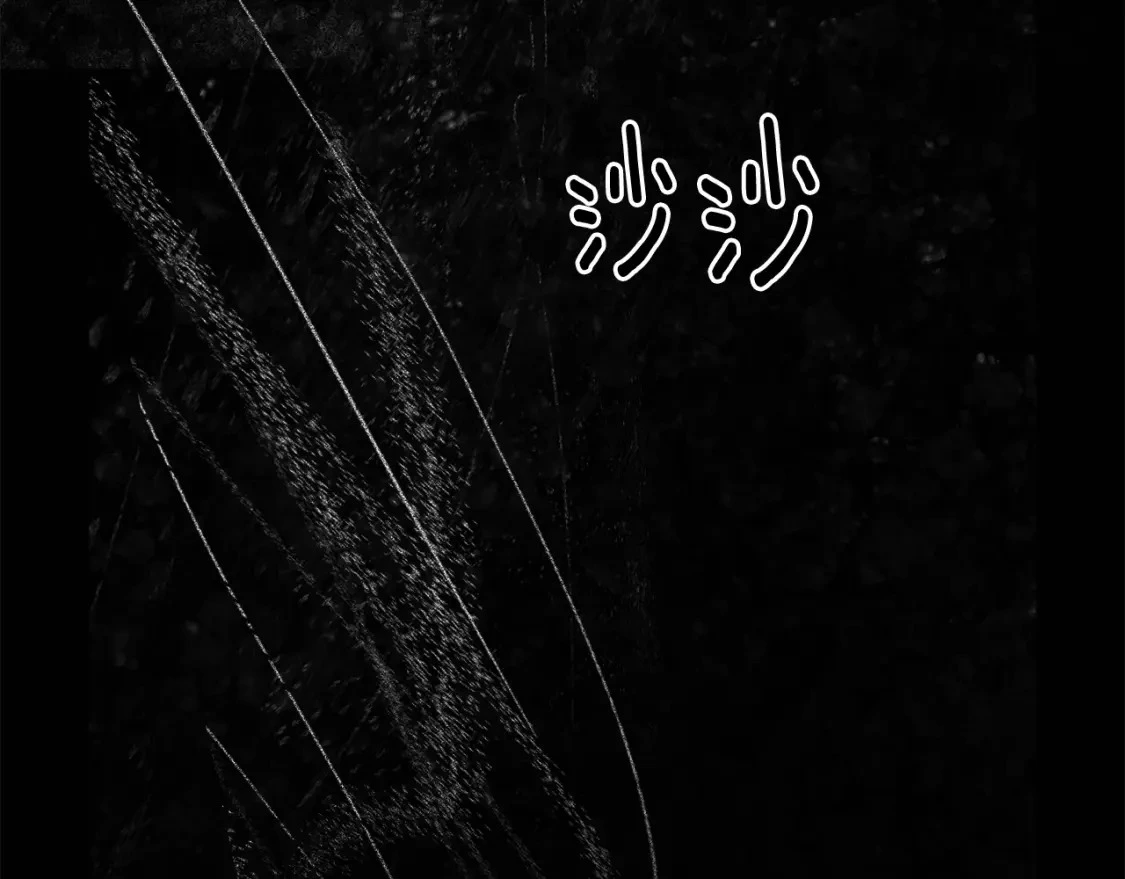 第54话 贝尼的过去 第163页