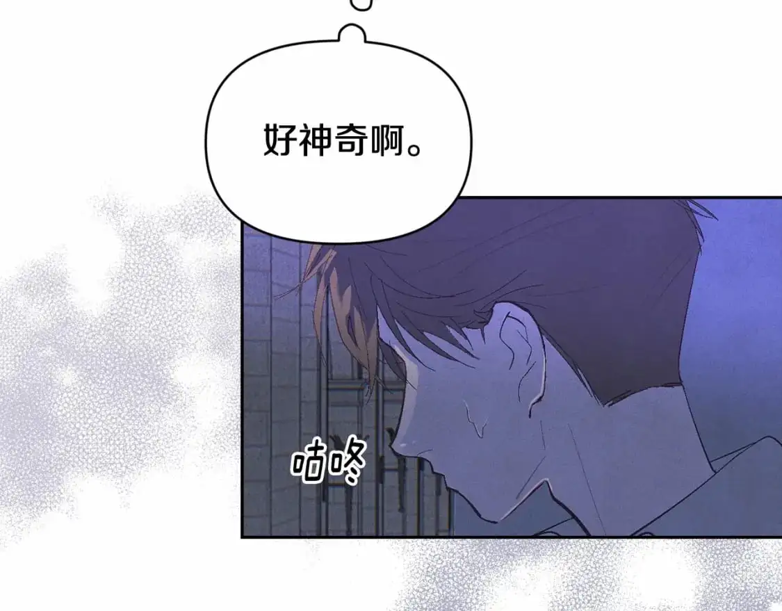 第二季回归 想保护的人 第13页