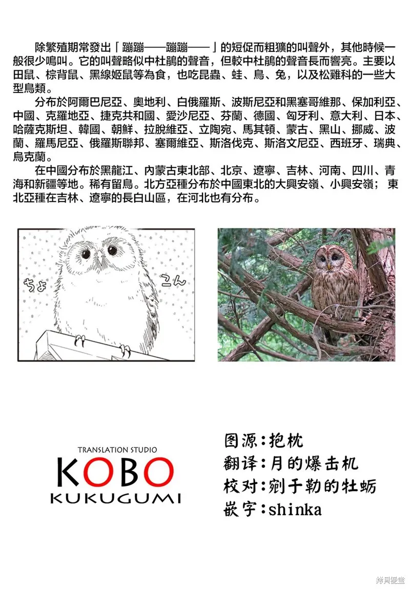 第29话 第13页