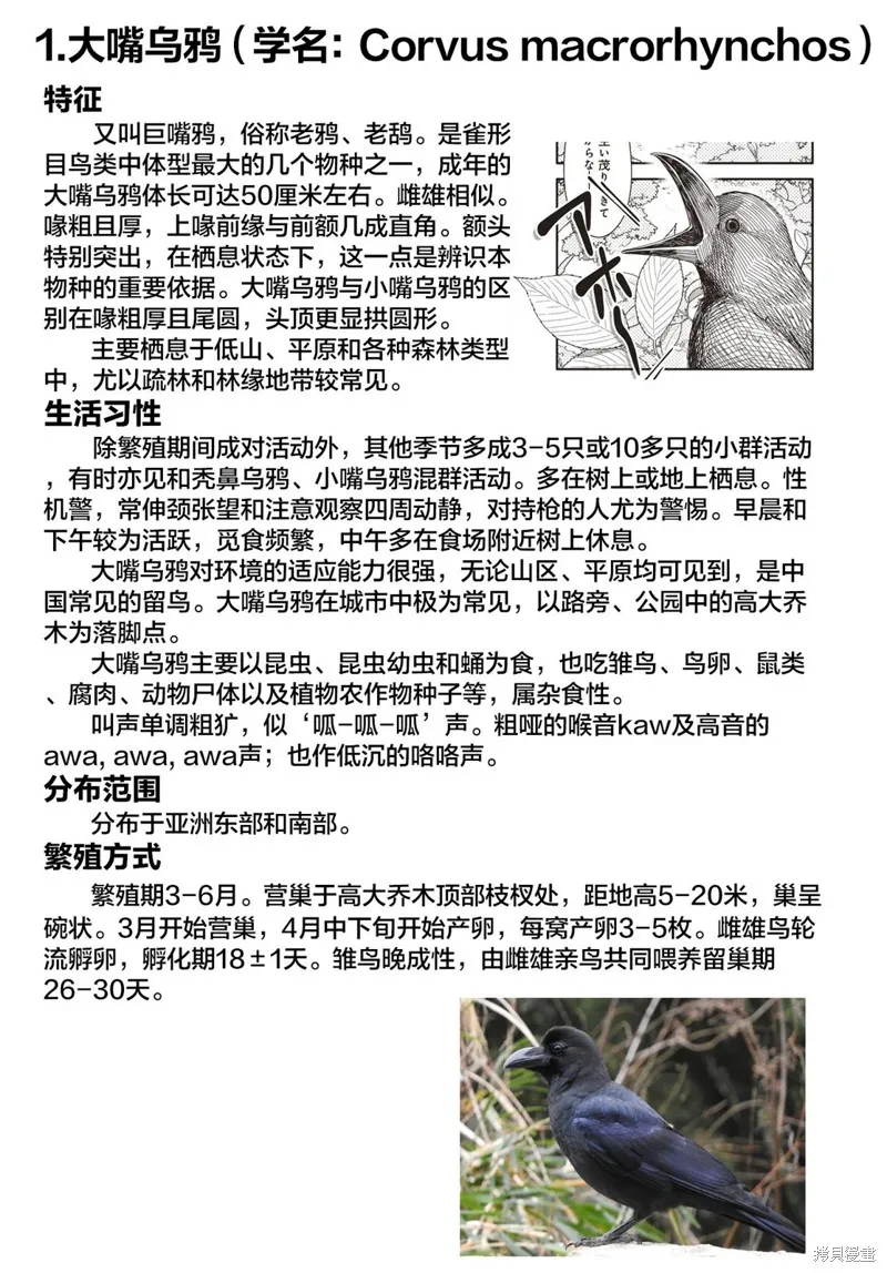 第31话 第9页