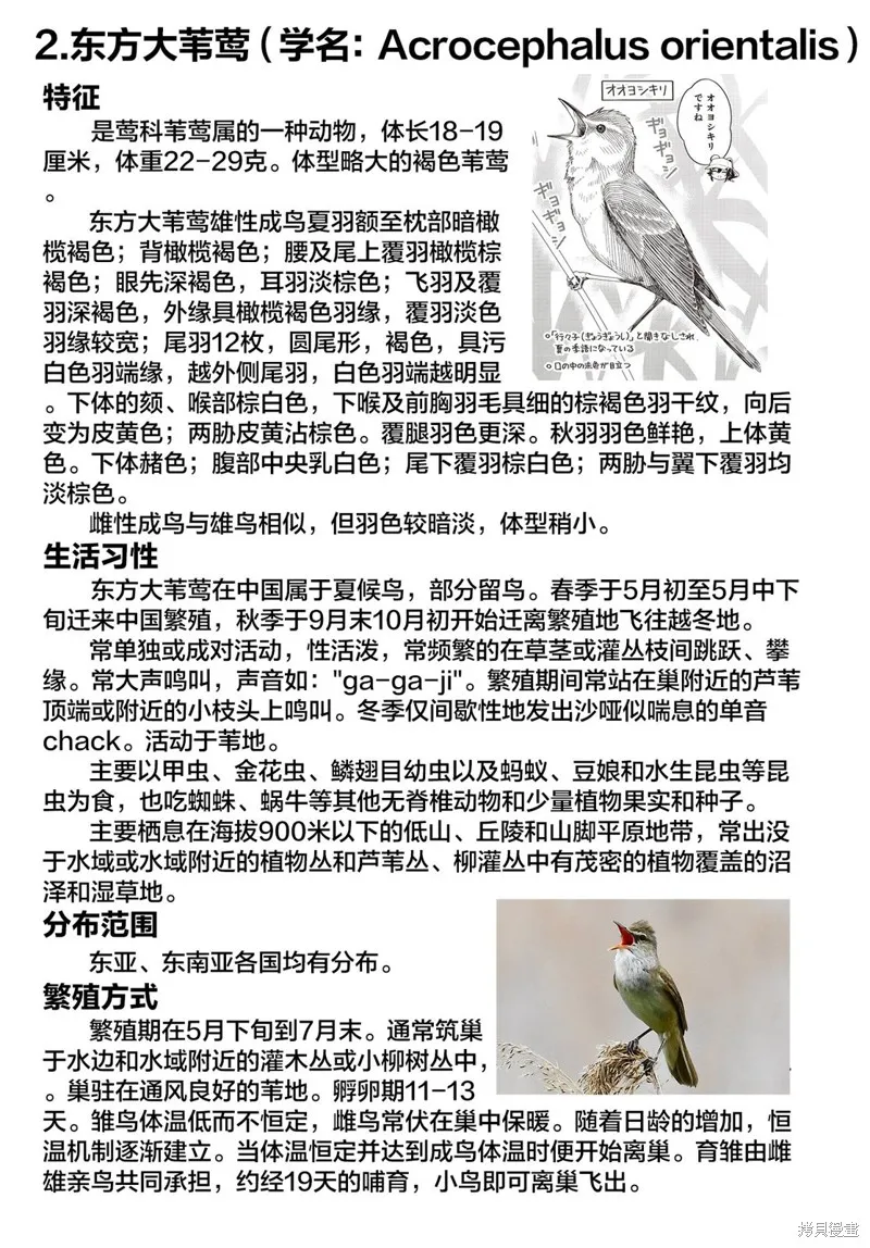 第31话 第10页
