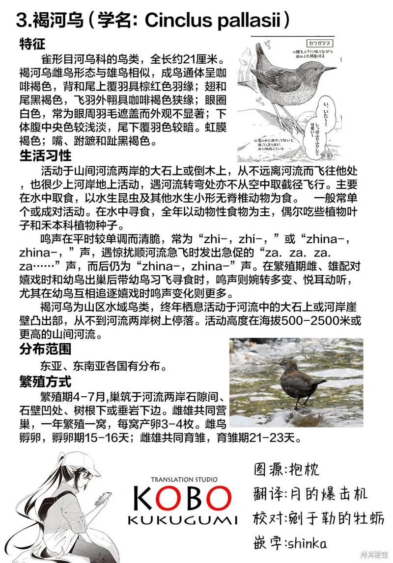 第31话 第11页