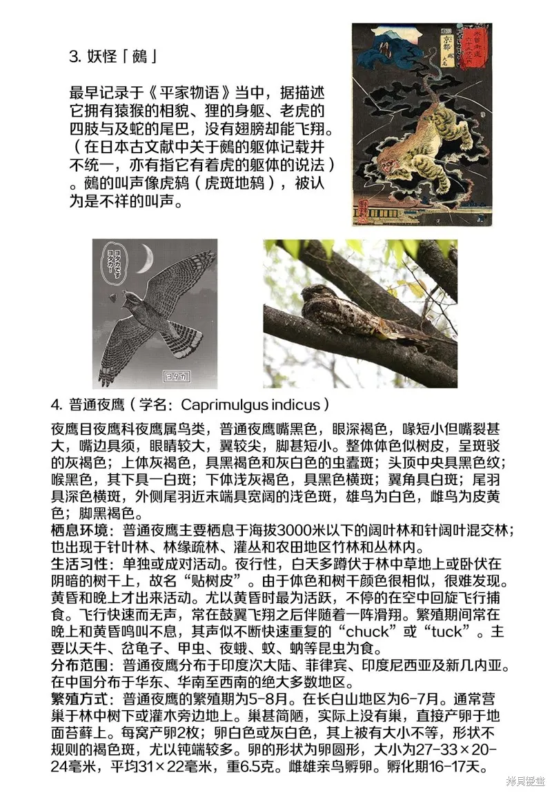 第36话 第11页
