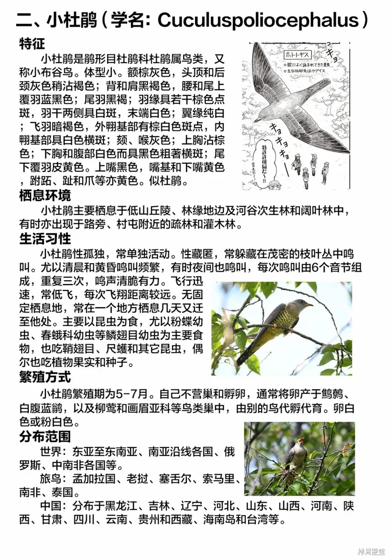 第37话 第10页