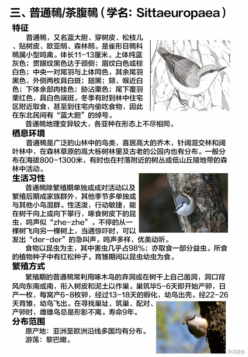 第37话 第11页