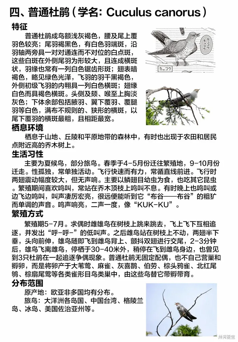 第37话 第12页