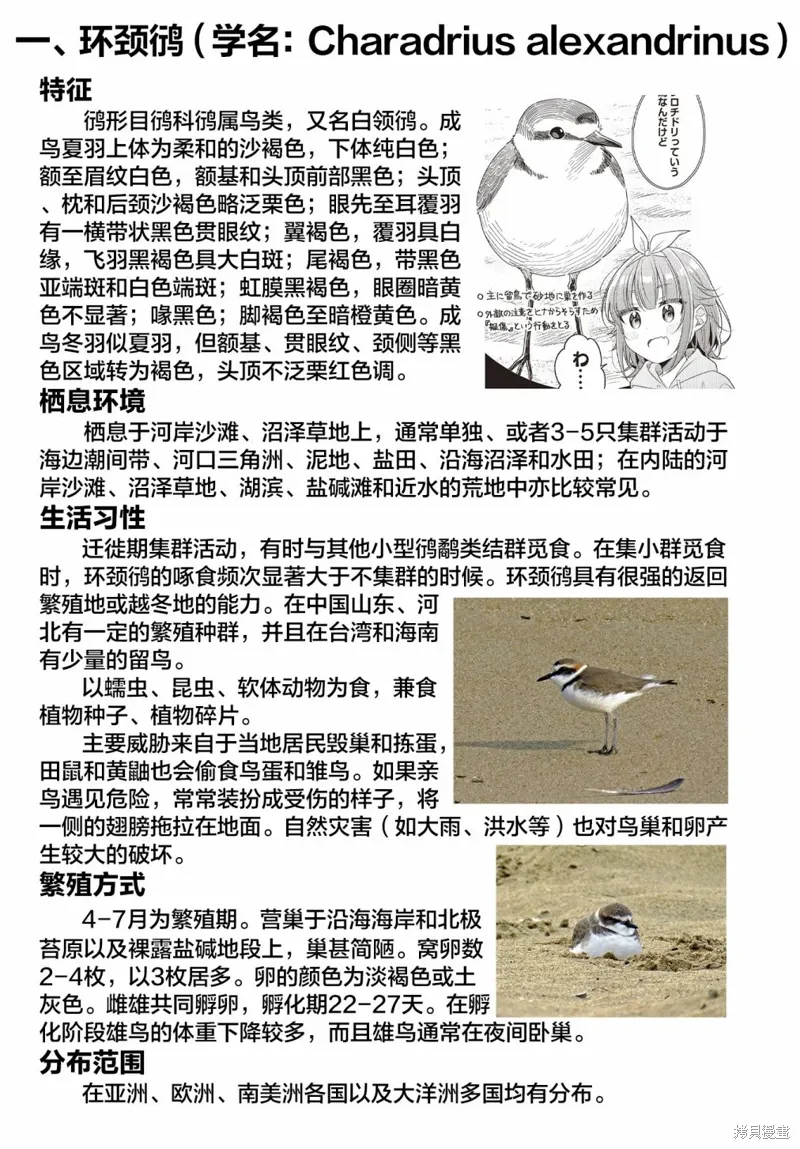 第41话 第8页
