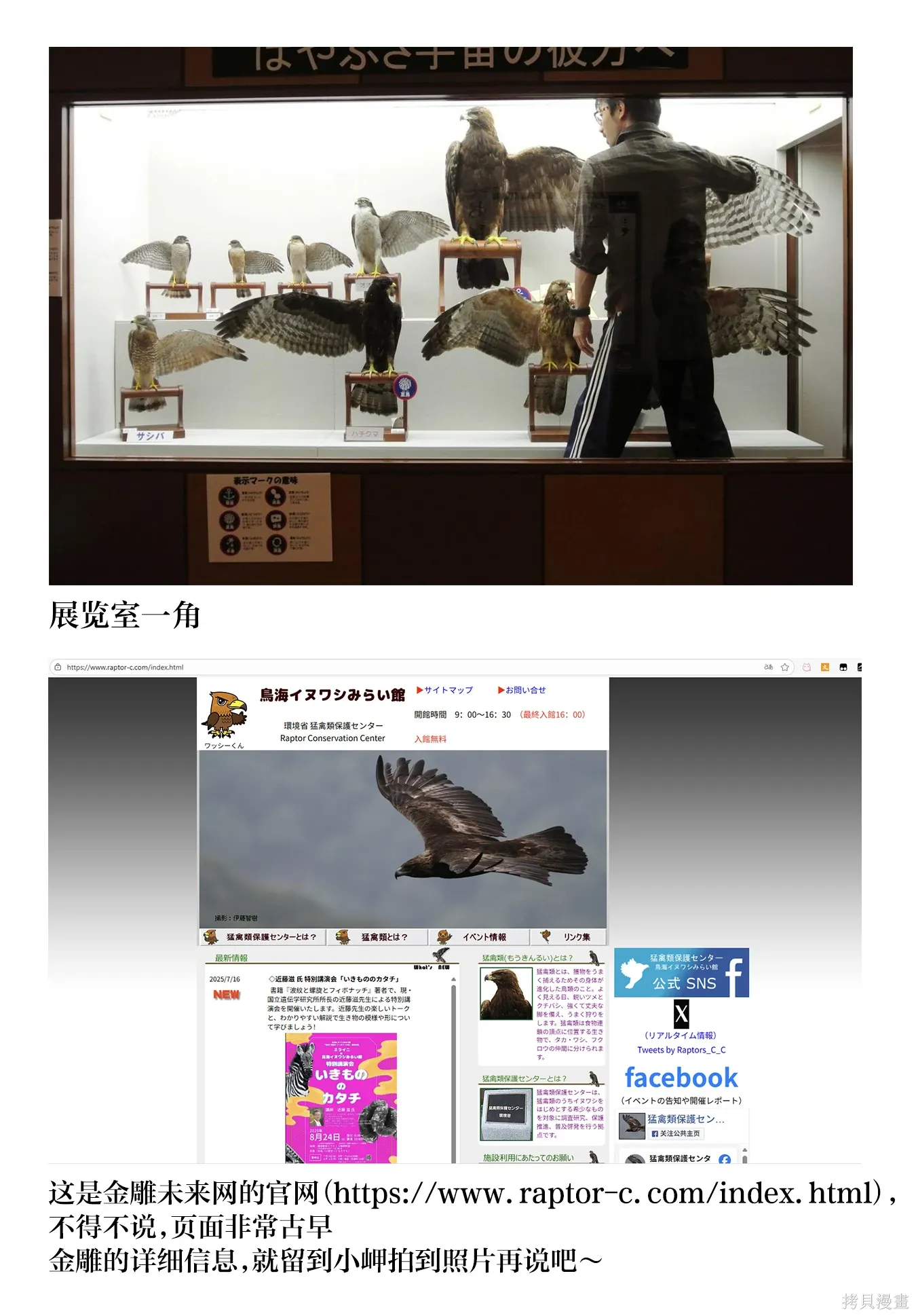 第48话 第10页