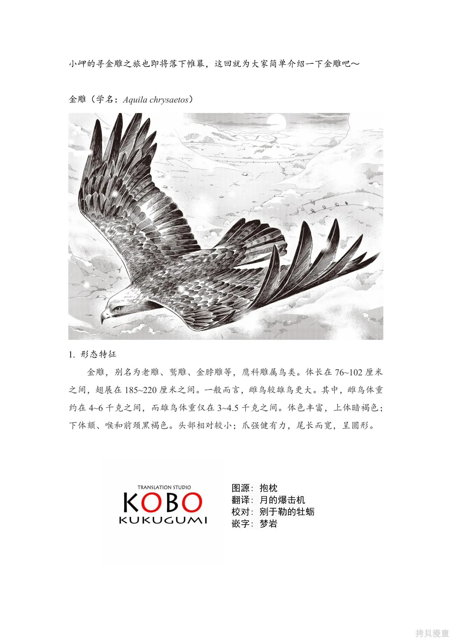 第51话 第10页