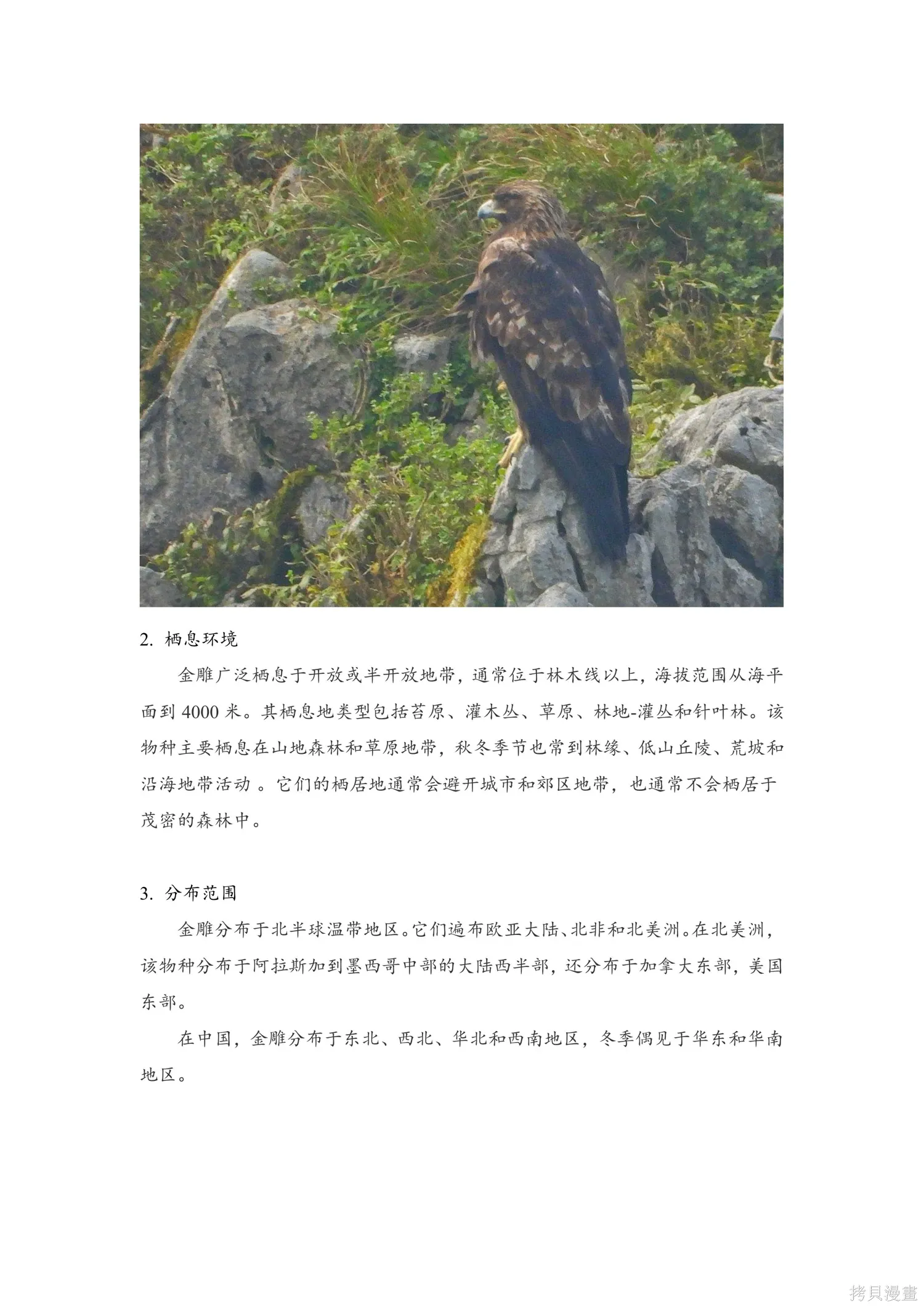 第51话 第11页