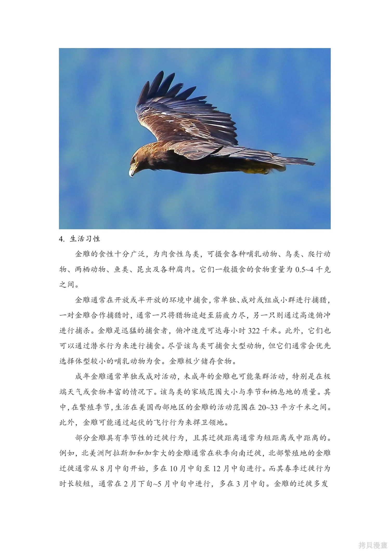 第51话 第12页