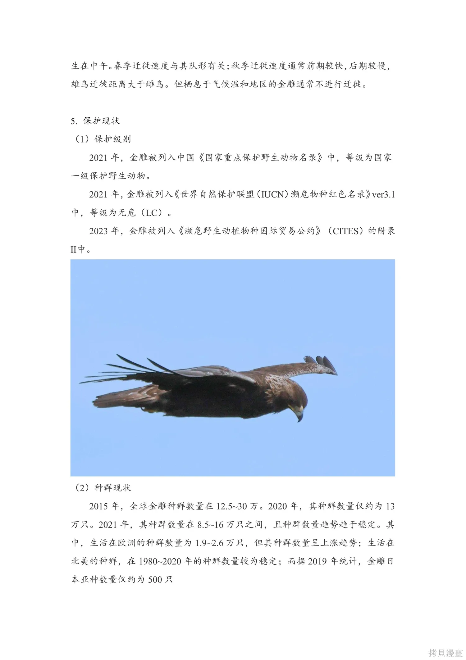 第51话 第13页
