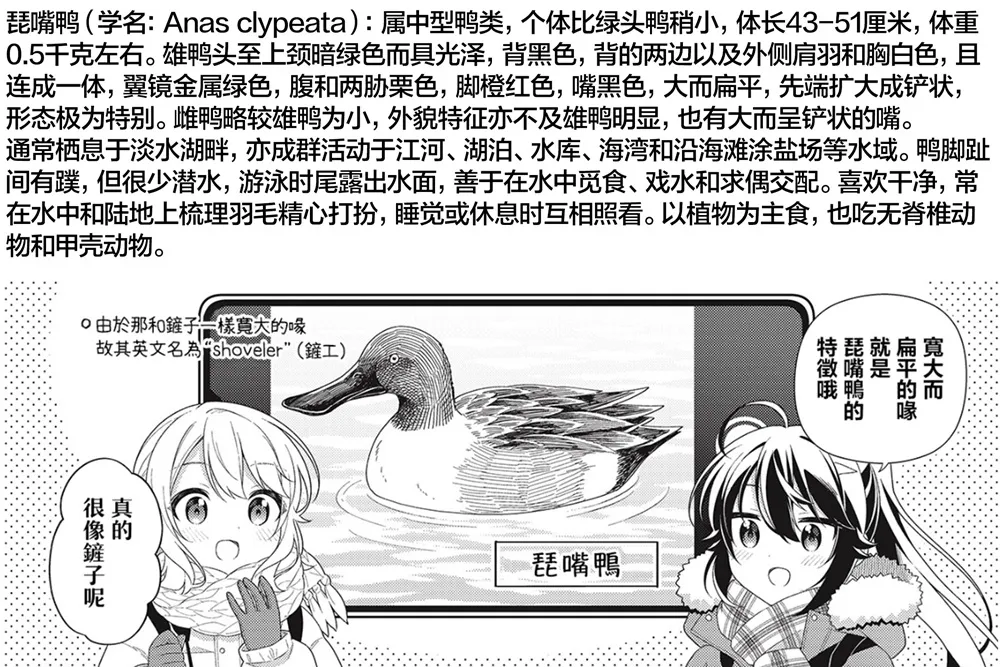 第16话 第10页