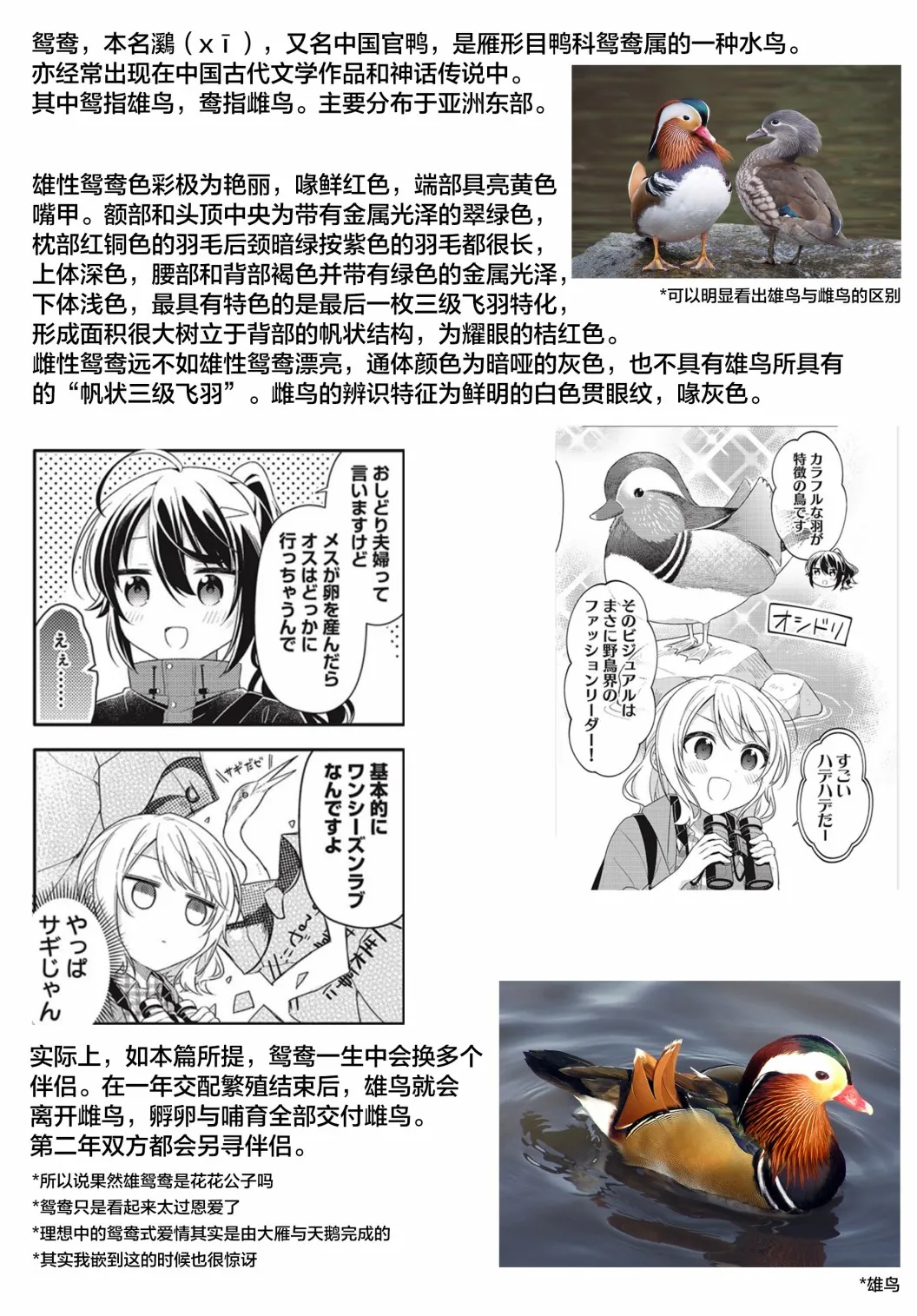 第04话 第9页