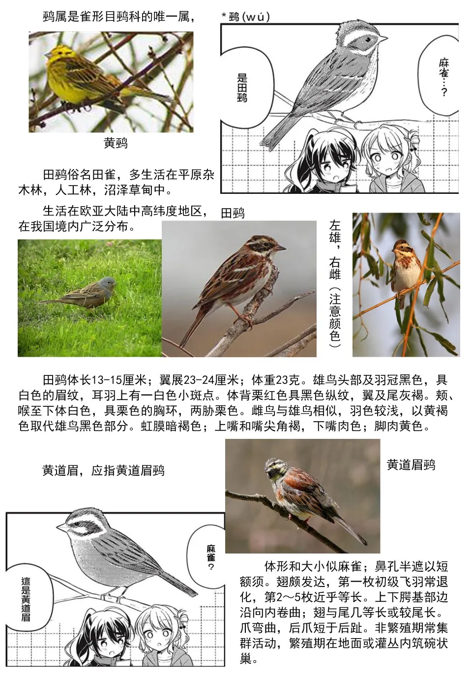 第02话 第11页