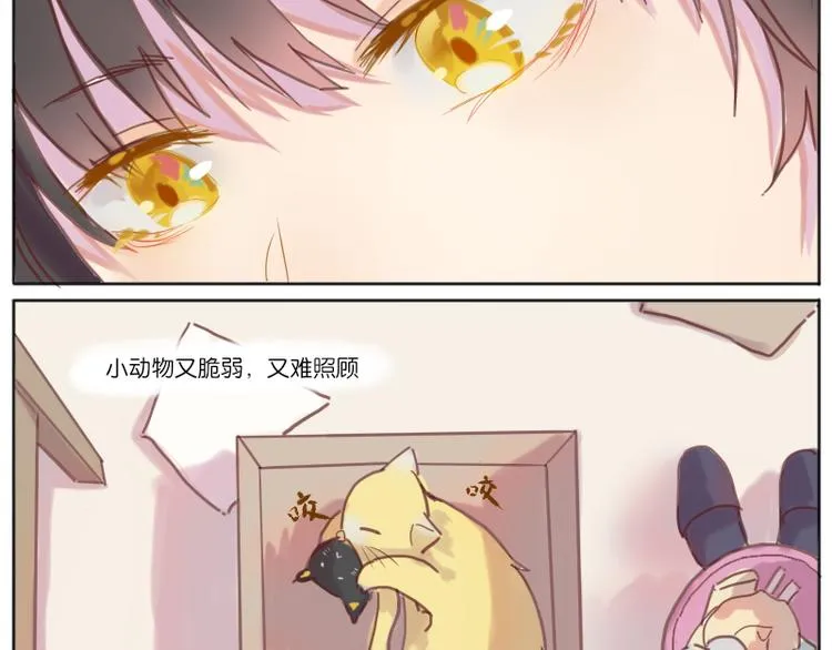 少年与猫 第25页