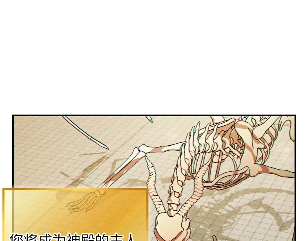 第28话 神殿之主 第3页