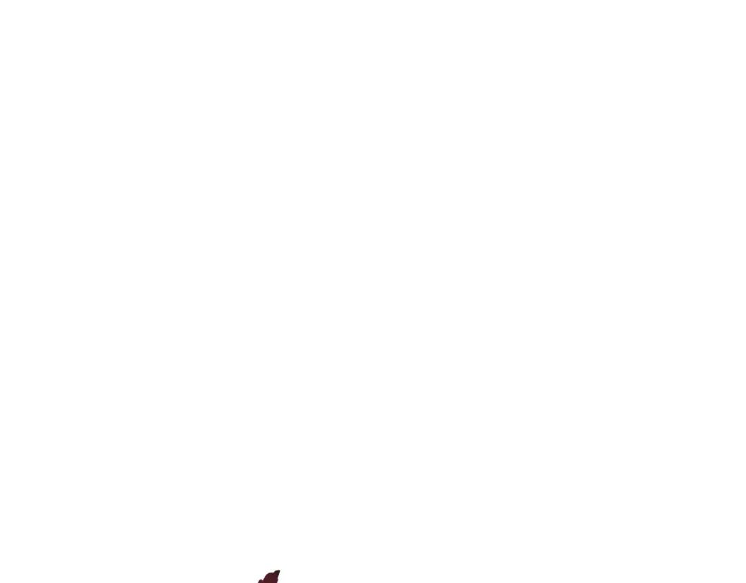 第44话 苍穹霸主真好吃！ 第95页