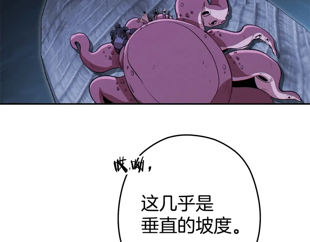 第99话 塞尔帕 第13页
