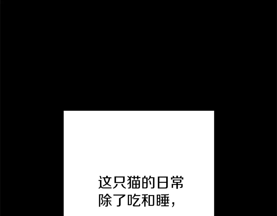 第104话 遥远的记忆 第51页