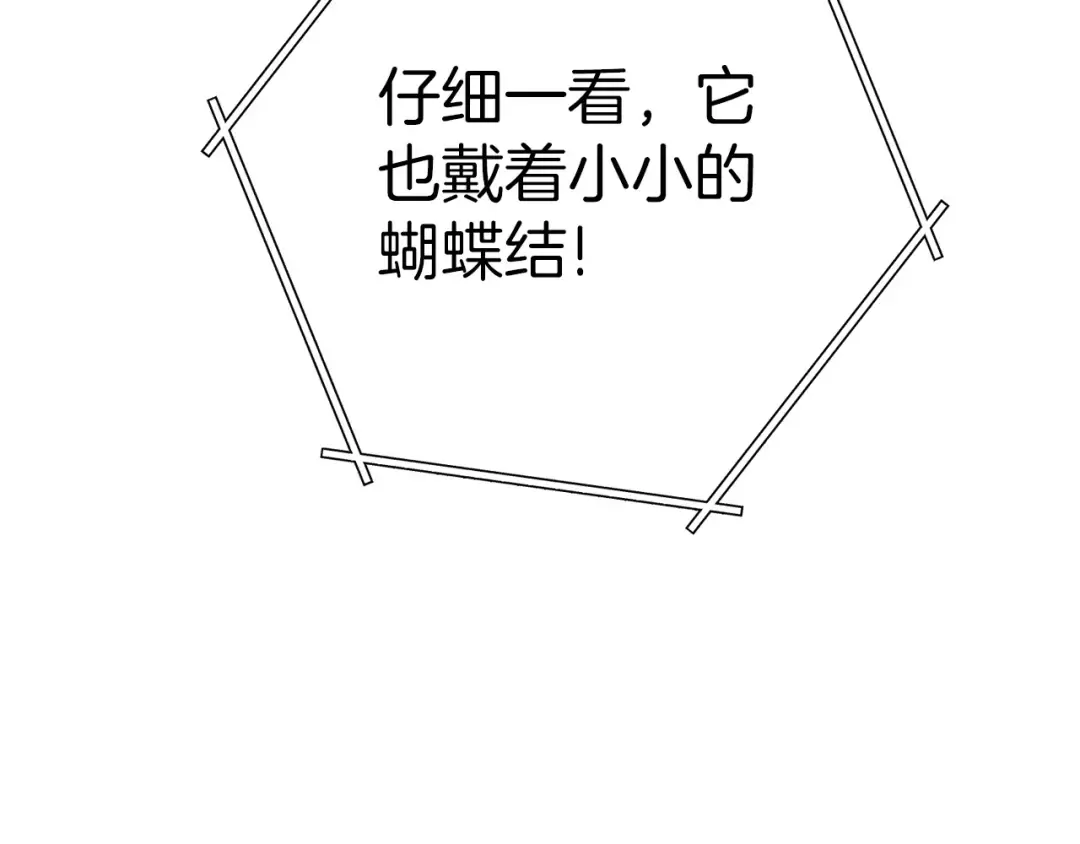 第129话 身世成谜的兔子 第58页