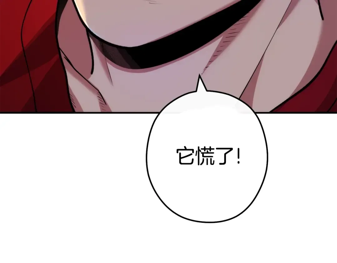 第134话 第三阶段小助手 第156页