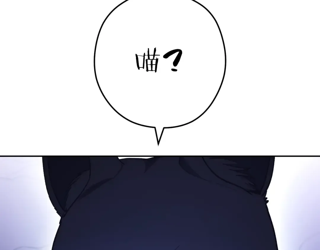 第164话 呜啊！魔法猫猫！mua！ 第37页