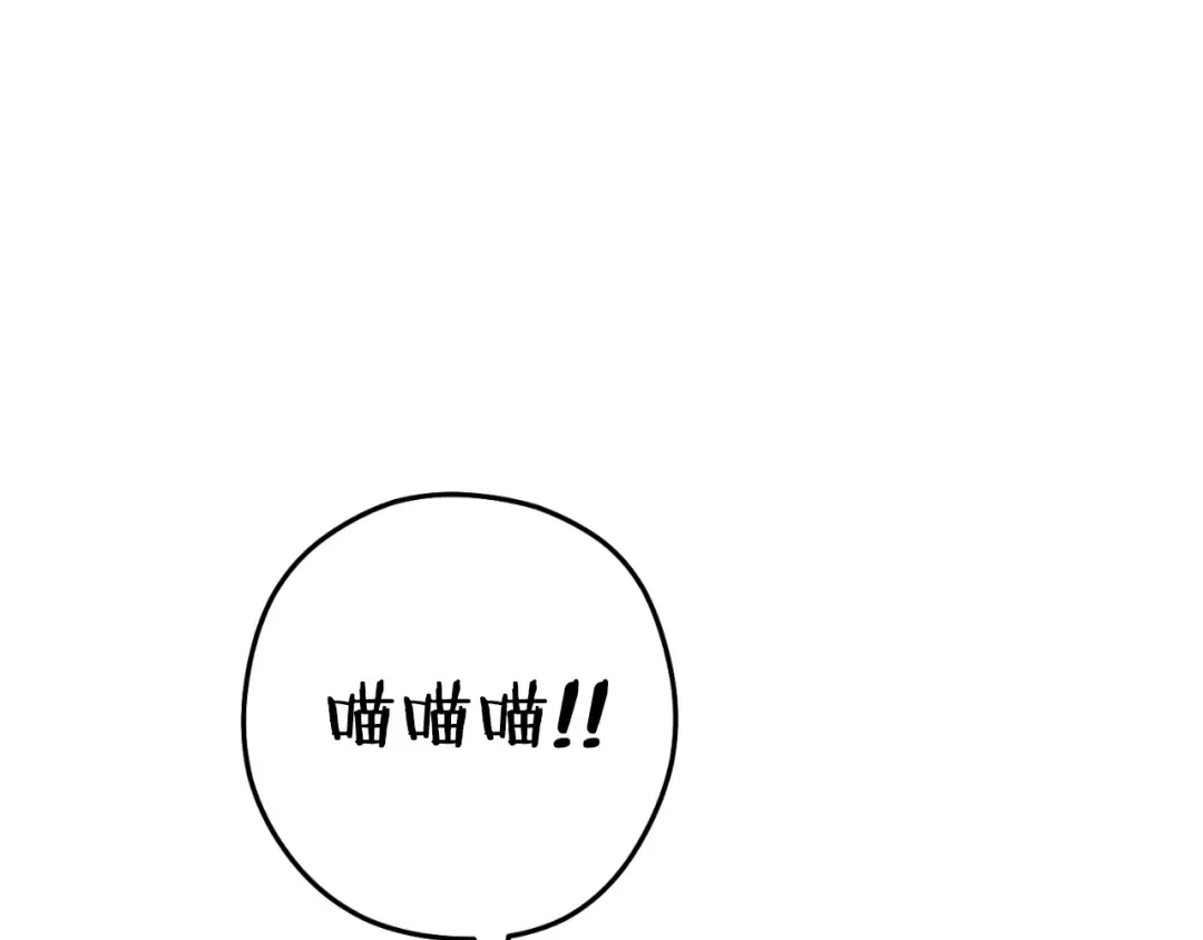 第164话 呜啊！魔法猫猫！mua！ 第54页