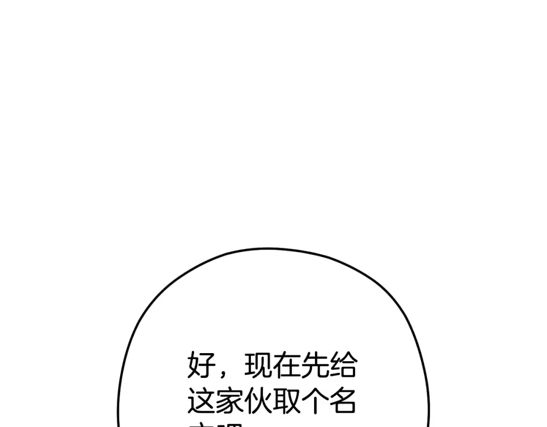 第164话 呜啊！魔法猫猫！mua！ 第177页