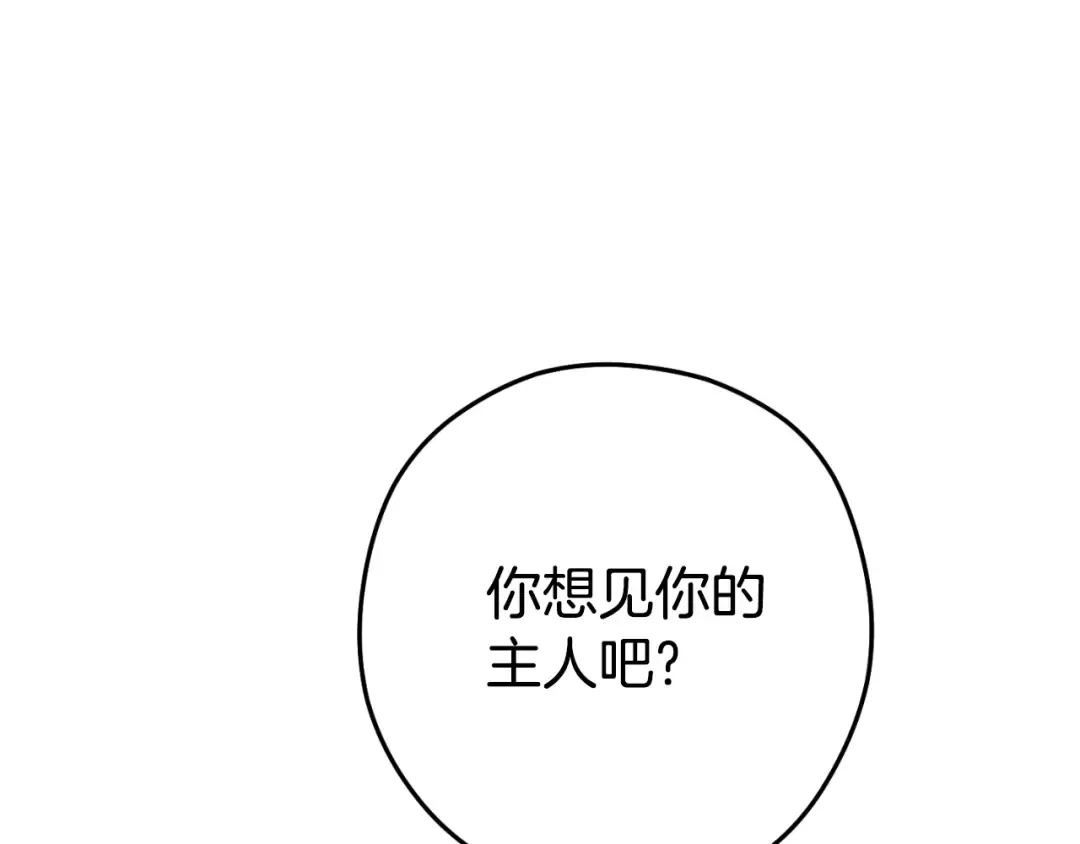 第173话 你好！小猫 第169页