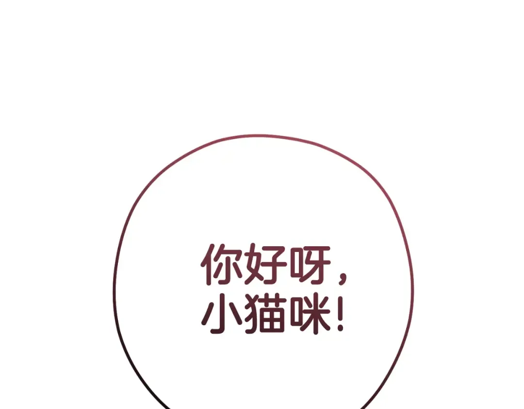 第173话 你好！小猫 第247页