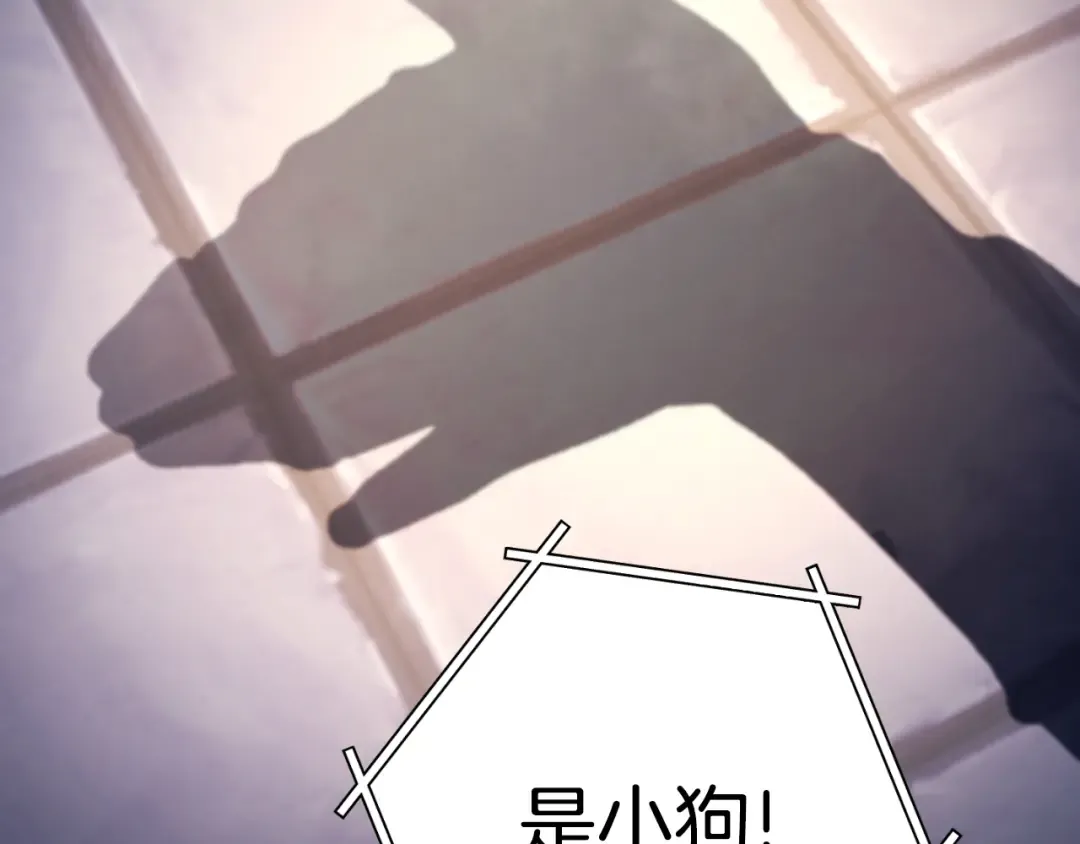 第175话 影子形态 第158页