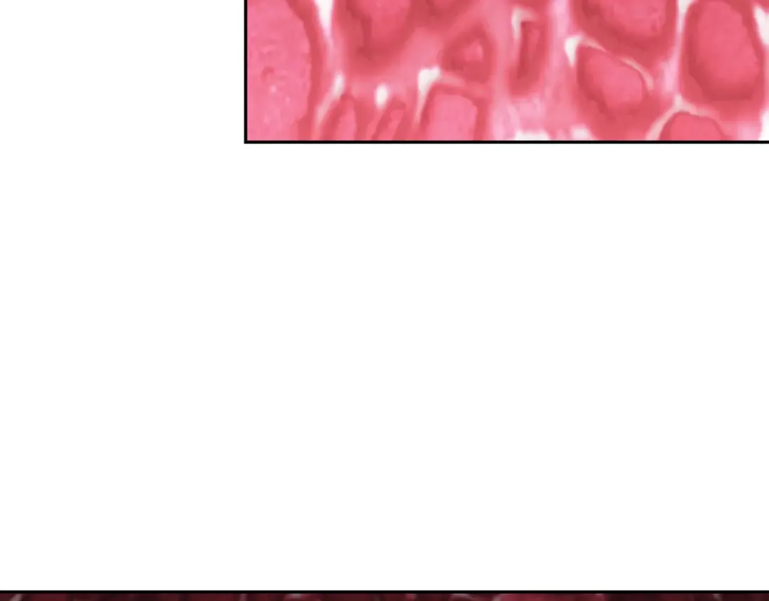 第198话 邀请函启动 第156页
