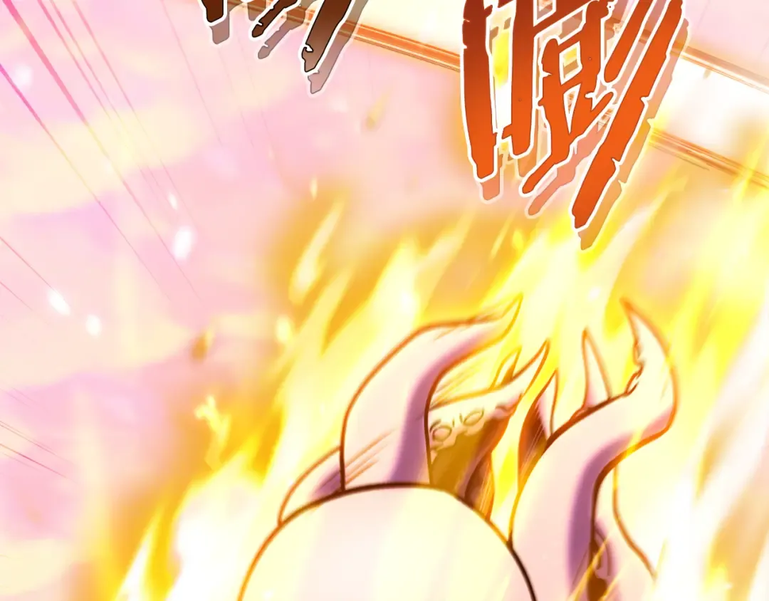第206话 试验成功 第62页