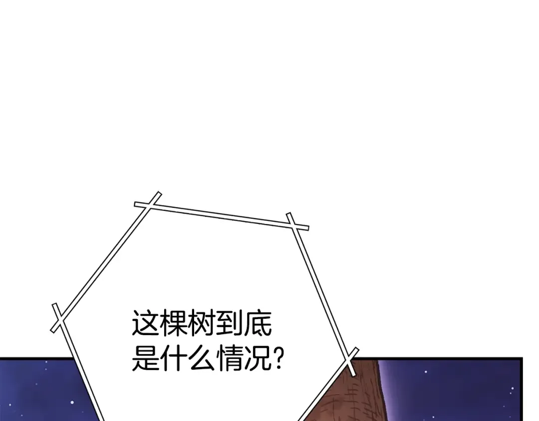 第208话 世界树 第3页