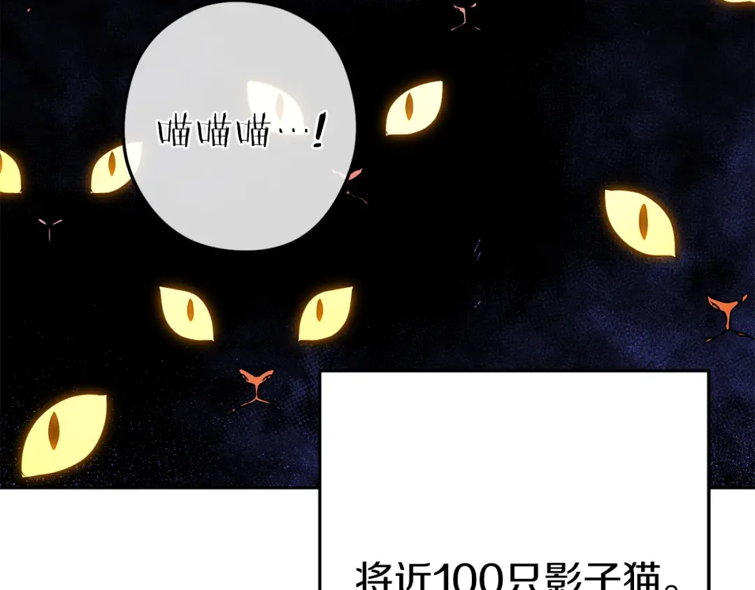 第221话 收服影子猫 第7页