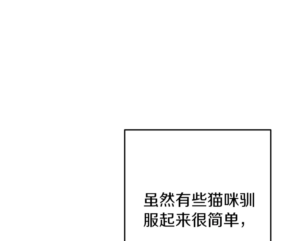 第221话 收服影子猫 第22页