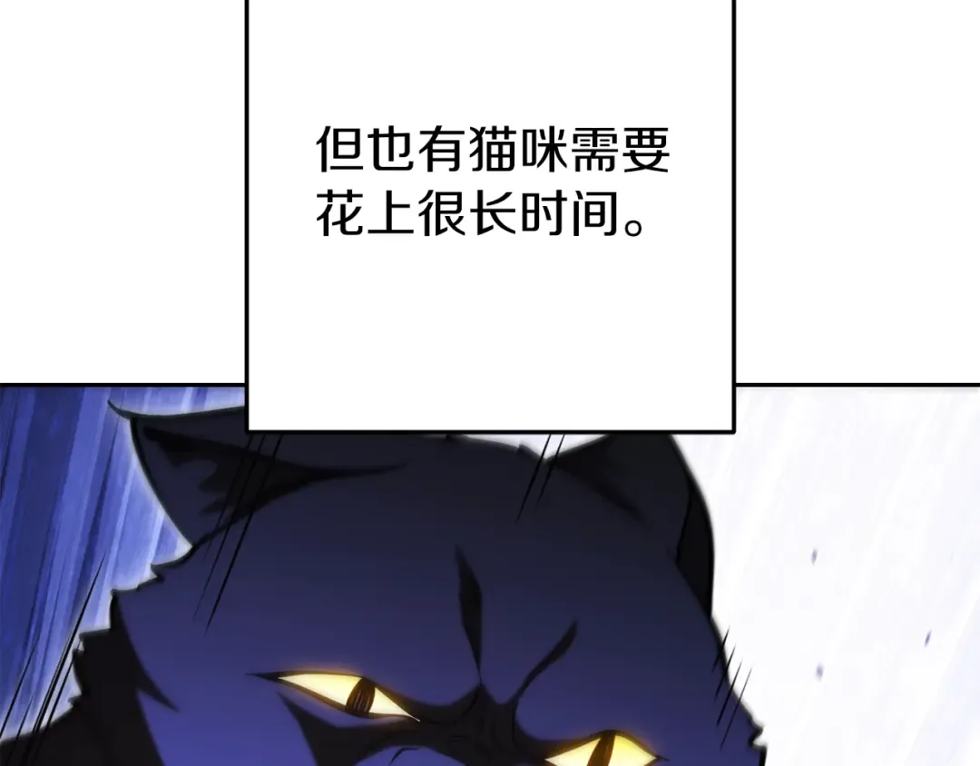第221话 收服影子猫 第25页