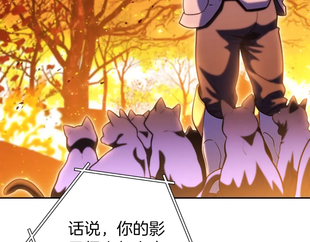 第221话 收服影子猫 第161页
