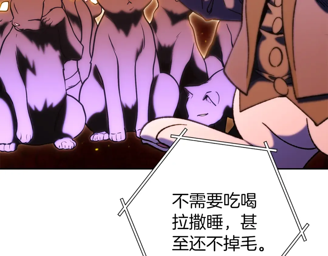 第221话 收服影子猫 第166页