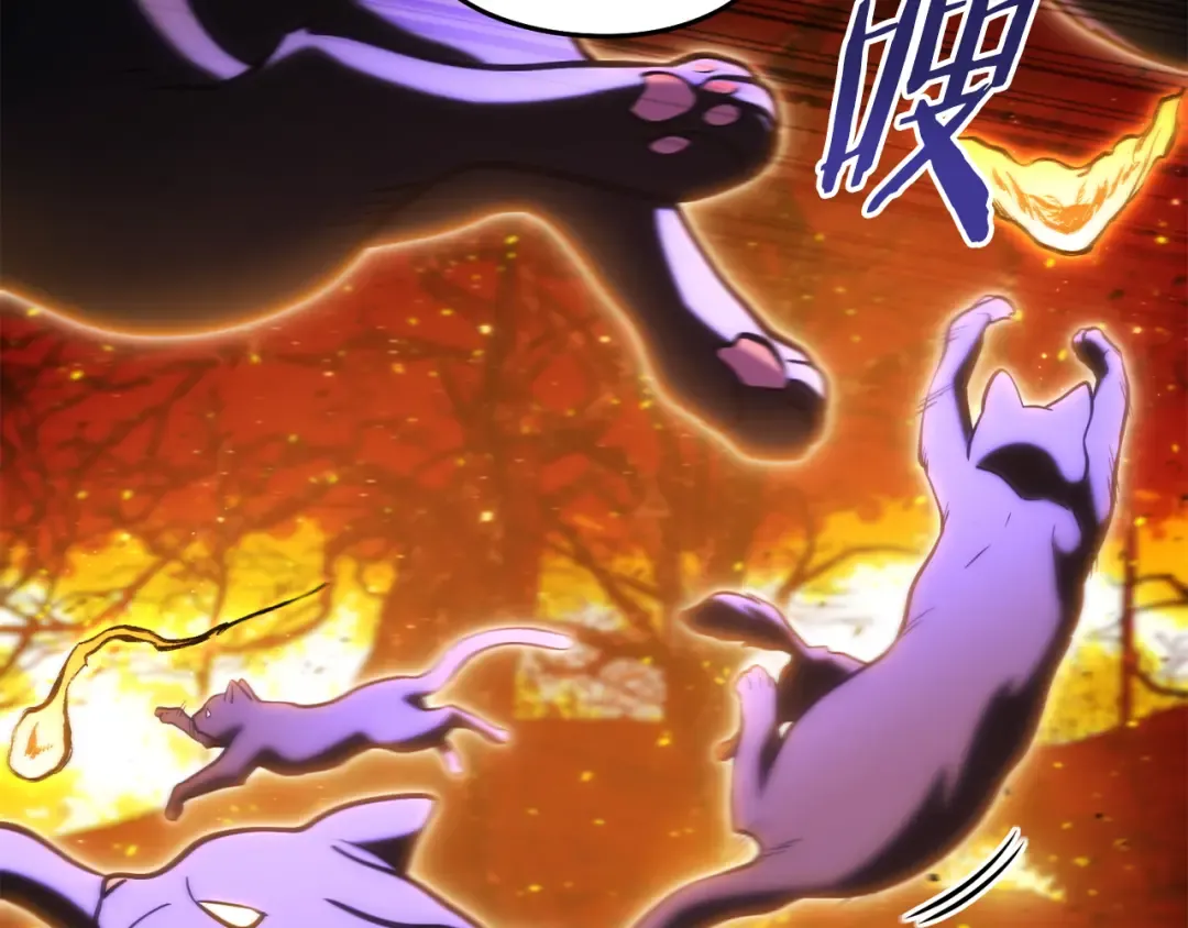 第221话 收服影子猫 第175页