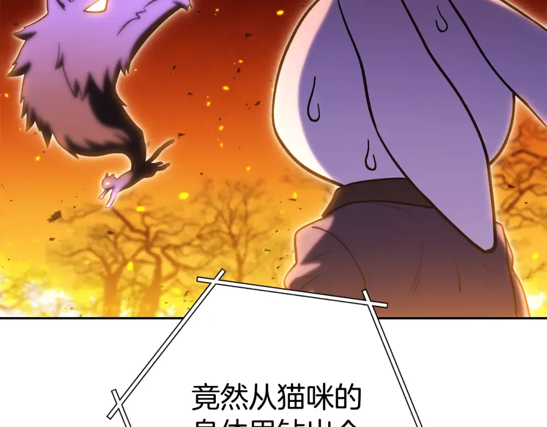 第225话 收服赛琳 第18页