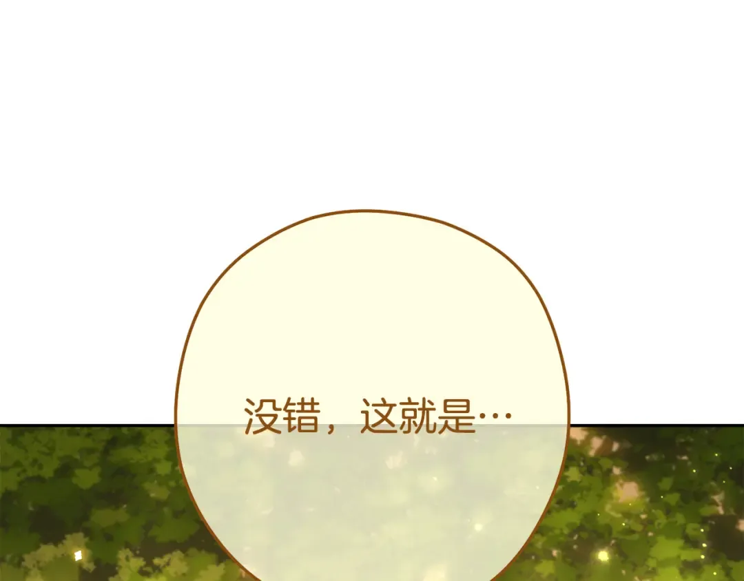 第229话 真正的世界树 第237页